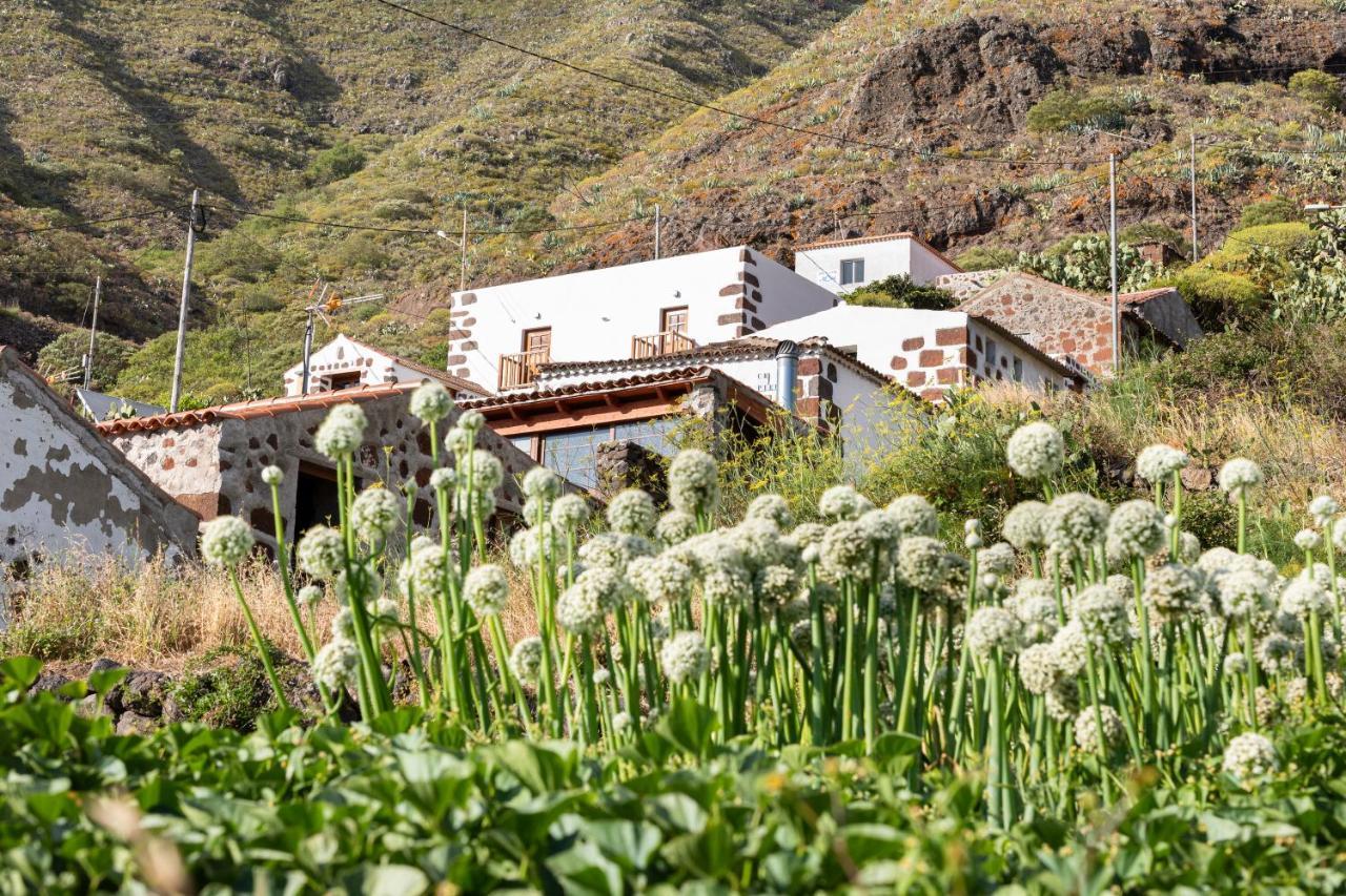 Home2Book Nature Carrizales And Masca House & Wifi Buenavista Del Norte Εξωτερικό φωτογραφία